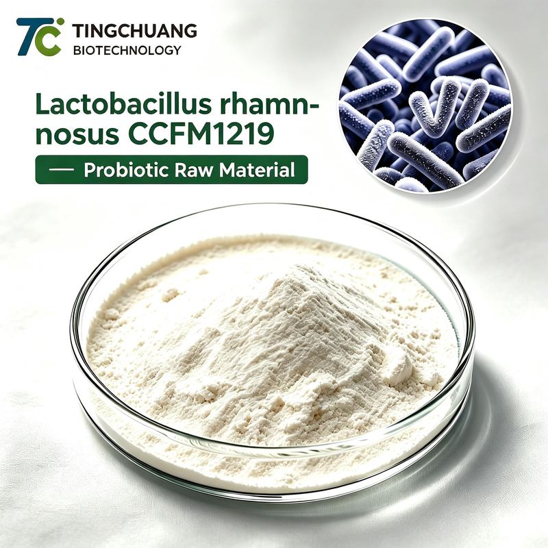 Lactobacillus Rhamnosus CCFM1219 Probiotic Raw Material for Gut Health Supplements and OEM Manufacturing