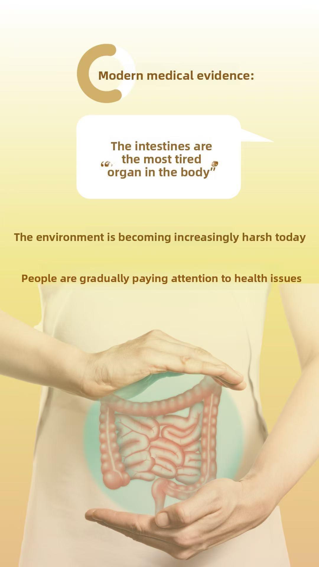 Full Bifidobacterium Formula Probiotic - 4