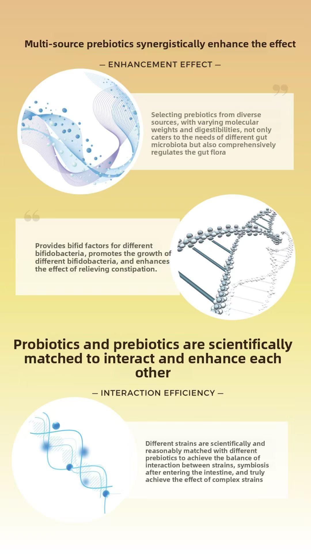 Full Bifidobacterium Formula Probiotic - 2