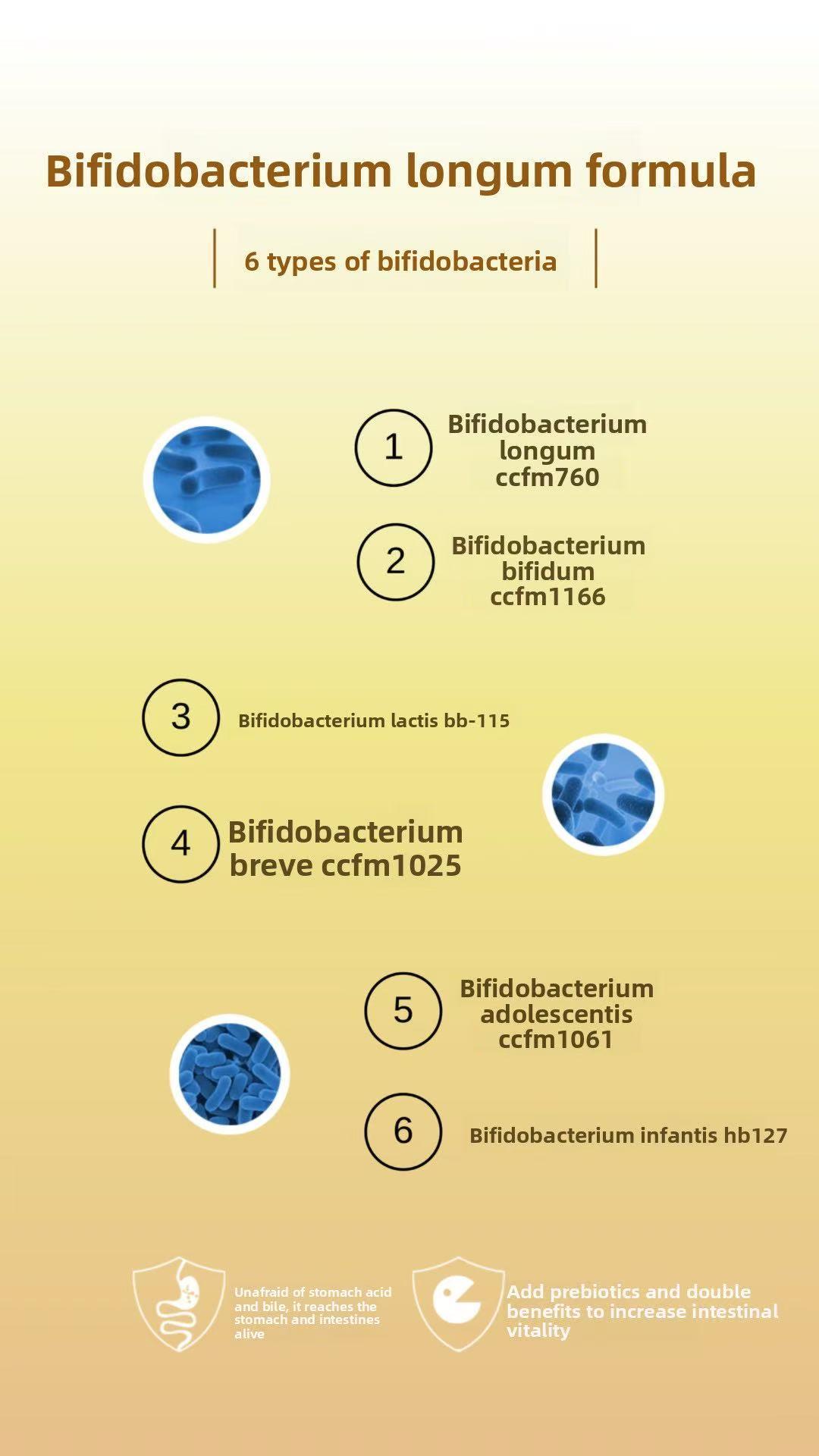 Full Bifidobacterium Formula Probiotic - 5