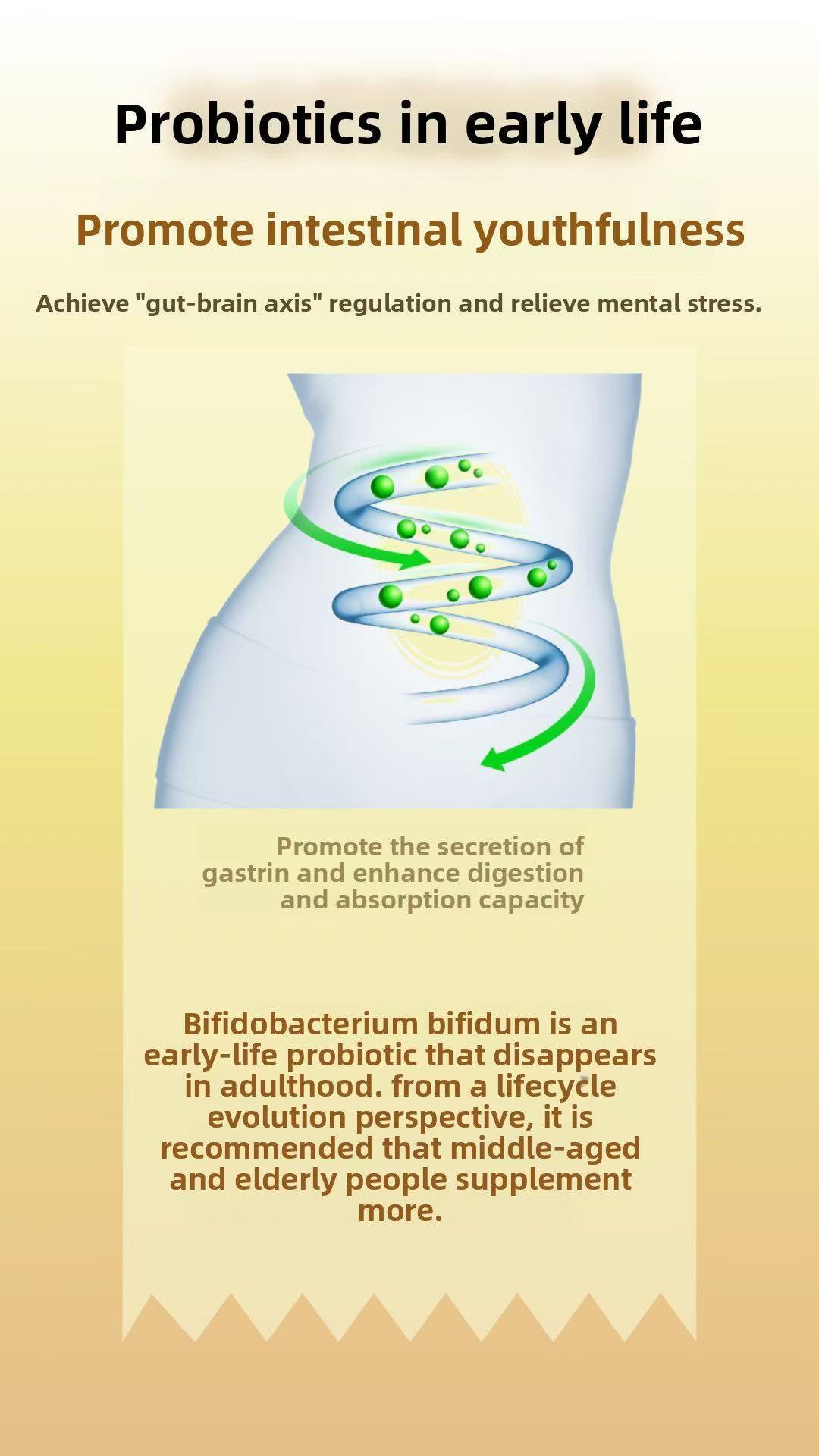 Full Bifidobacterium Formula Probiotic - 6